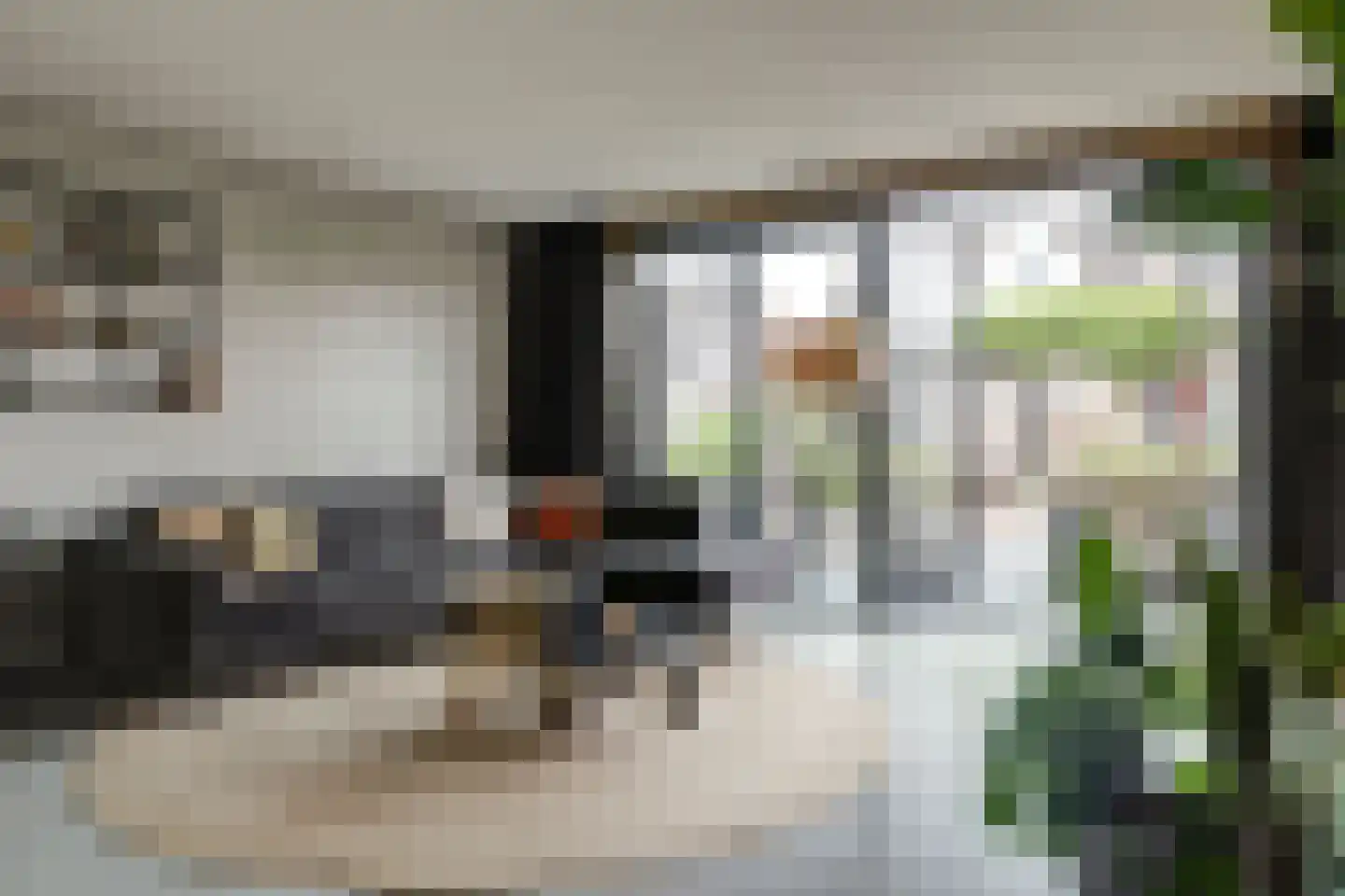 Inlaagdijk 23 Zwaag thumbnail 8