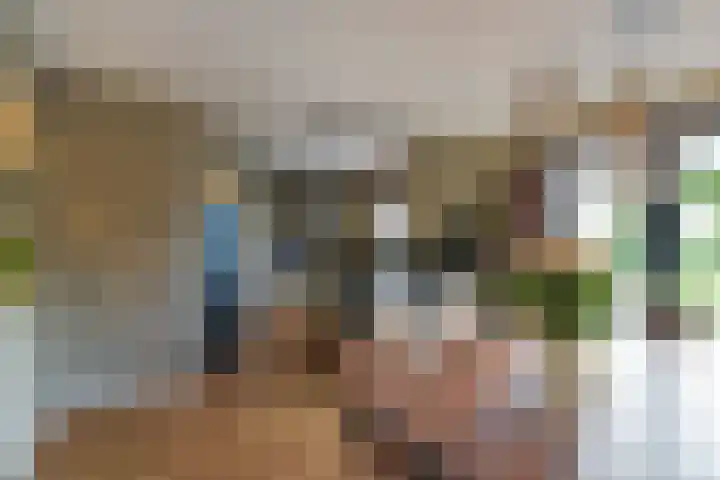 Inlaagdijk 3 Zwaag thumbnail 11