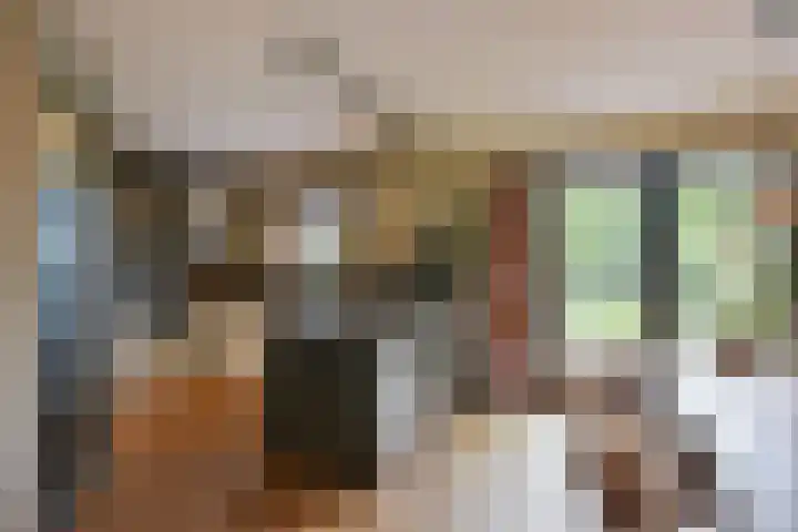 Inlaagdijk 3 Zwaag thumbnail 12