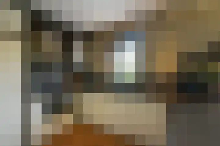 Inlaagdijk 3 Zwaag thumbnail 13