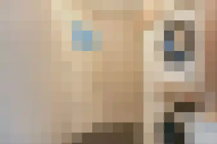 Inlaagdijk 3 Zwaag thumbnail 14