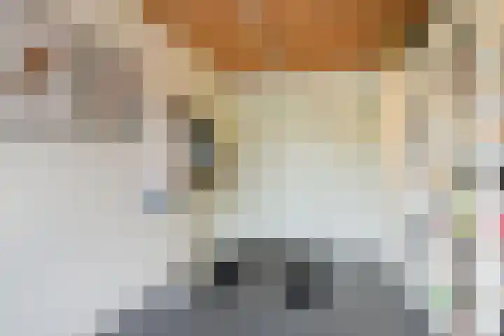 Inlaagdijk 3 Zwaag thumbnail 15