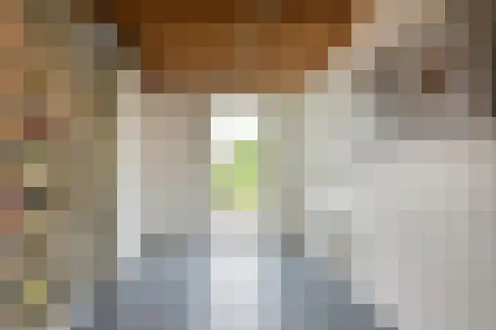 Inlaagdijk 3 Zwaag thumbnail 16