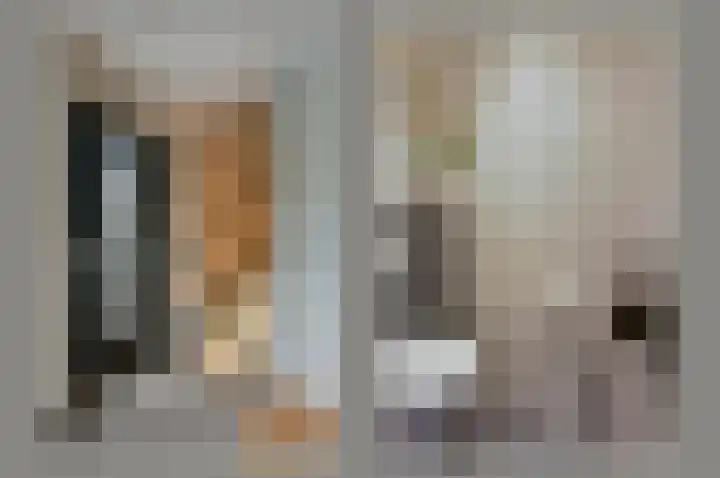 Inlaagdijk 3 Zwaag thumbnail 17