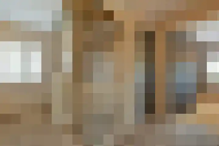 Inlaagdijk 3 Zwaag thumbnail 18