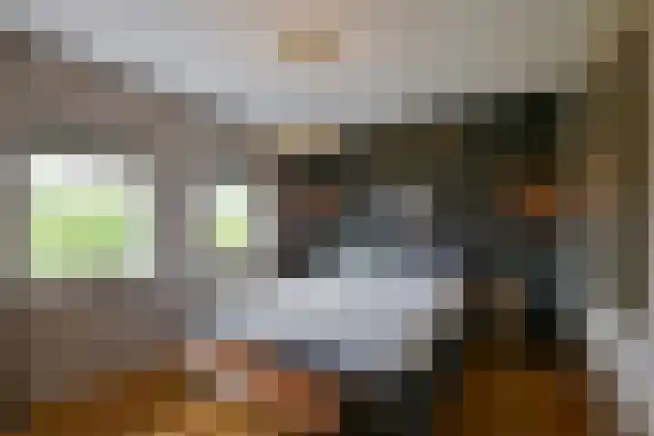 Inlaagdijk 3 Zwaag thumbnail 19