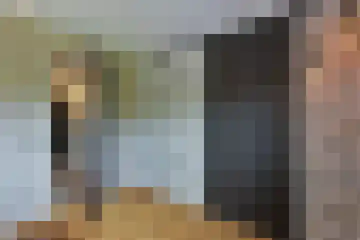 Inlaagdijk 3 Zwaag thumbnail 20