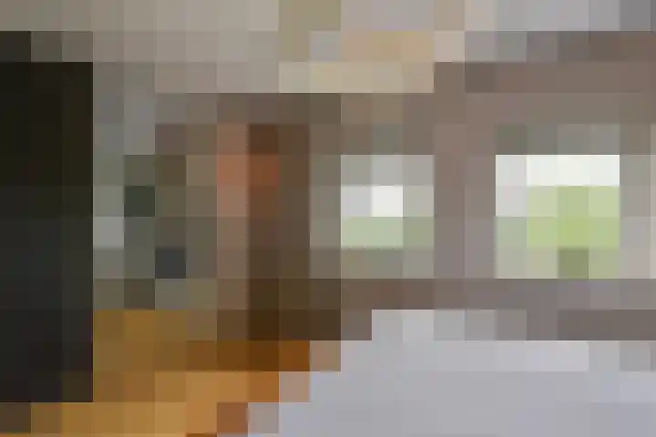Inlaagdijk 3 Zwaag thumbnail 21