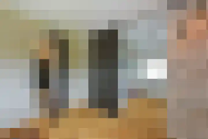 Inlaagdijk 3 Zwaag thumbnail 22