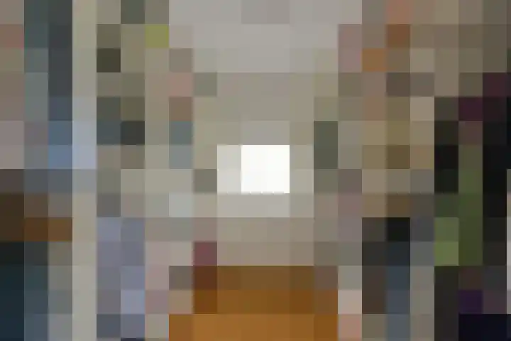 Inlaagdijk 3 Zwaag thumbnail 23