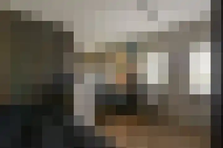 Inlaagdijk 3 Zwaag thumbnail 24