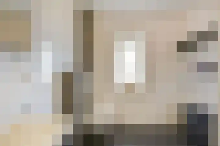 Inlaagdijk 3 Zwaag thumbnail 26