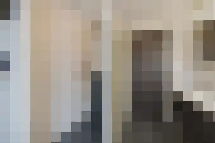 Inlaagdijk 3 Zwaag thumbnail 27