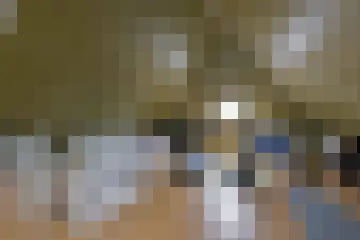 Inlaagdijk 3 Zwaag thumbnail 29