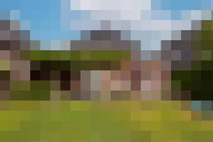 Inlaagdijk 3 Zwaag thumbnail 30
