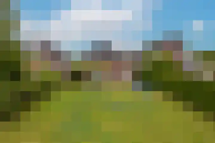 Inlaagdijk 3 Zwaag thumbnail 31