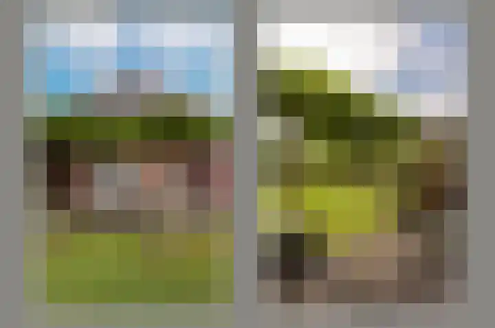 Inlaagdijk 3 Zwaag thumbnail 32