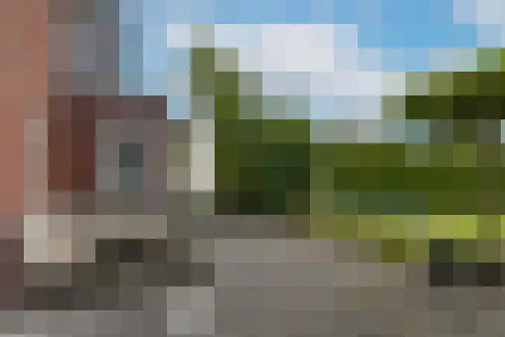 Inlaagdijk 3 Zwaag thumbnail 33