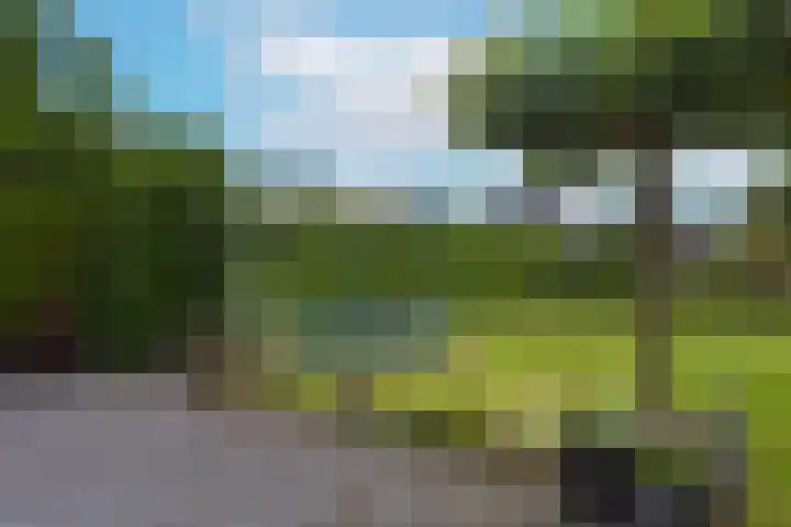 Inlaagdijk 3 Zwaag thumbnail 34