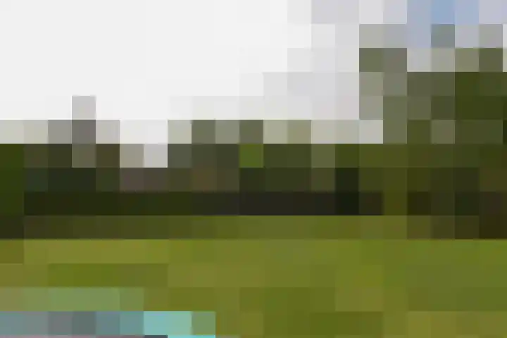 Inlaagdijk 3 Zwaag thumbnail 35