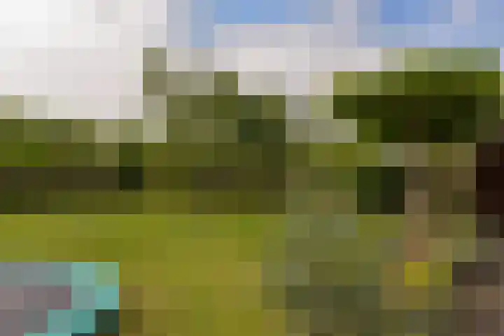 Inlaagdijk 3 Zwaag thumbnail 36