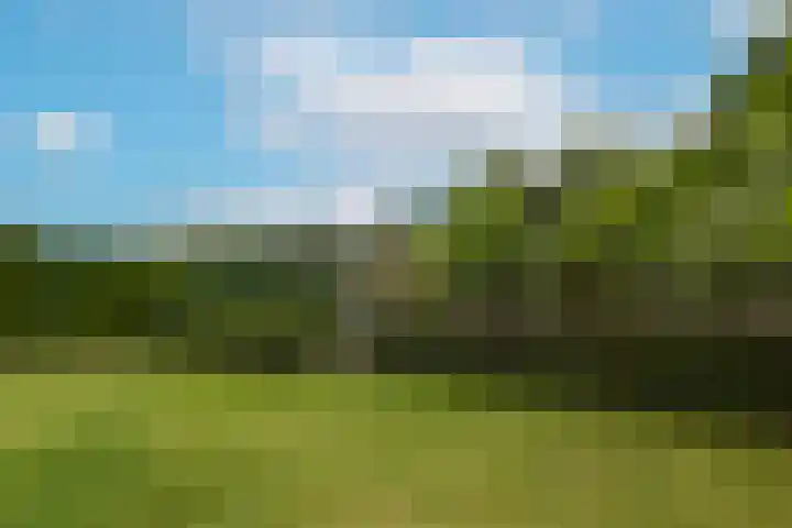 Inlaagdijk 3 Zwaag thumbnail 37