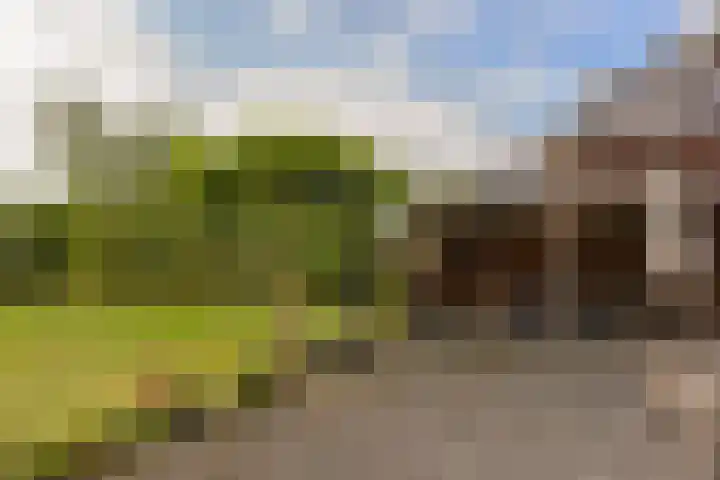 Inlaagdijk 3 Zwaag thumbnail 38