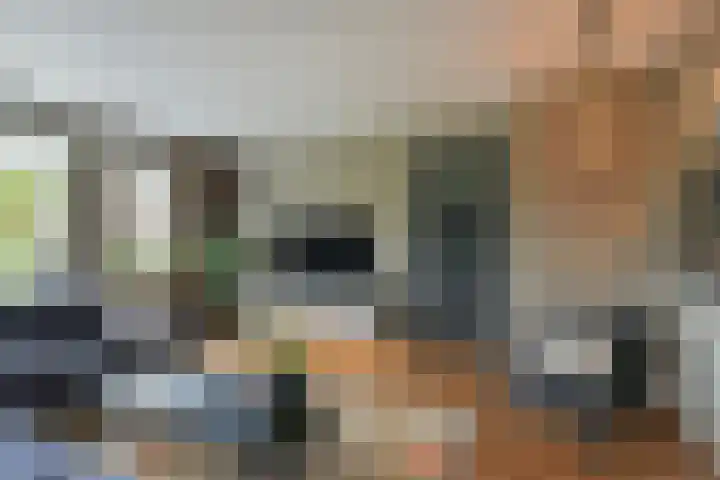 Inlaagdijk 3 Zwaag thumbnail 4