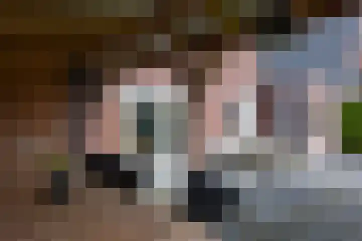 Inlaagdijk 3 Zwaag thumbnail 40