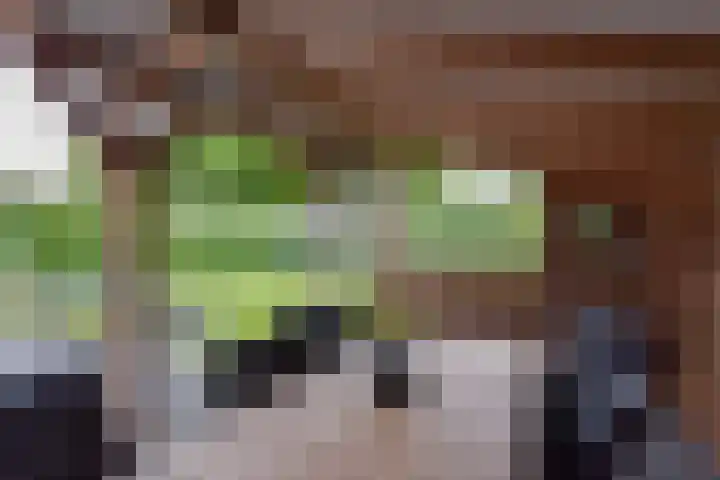 Inlaagdijk 3 Zwaag thumbnail 41