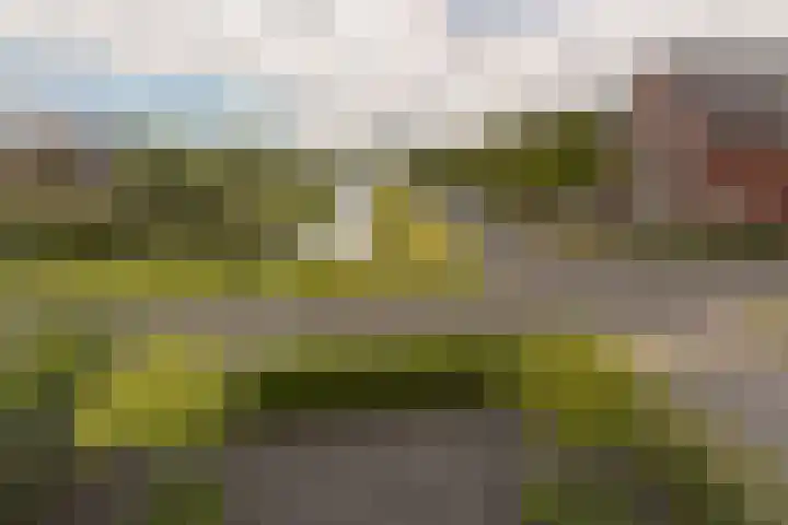 Inlaagdijk 3 Zwaag thumbnail 43