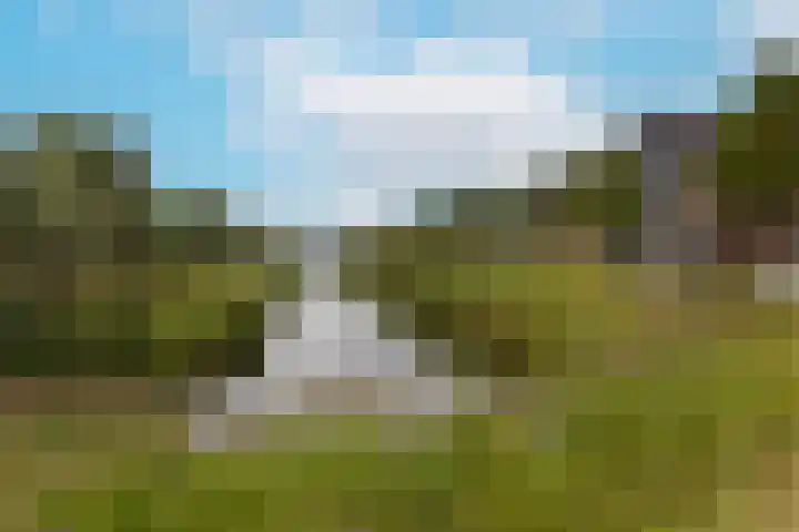 Inlaagdijk 3 Zwaag thumbnail 44