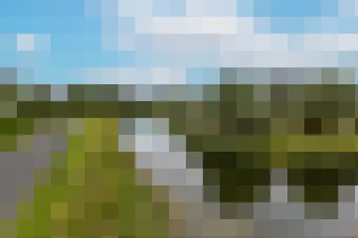 Inlaagdijk 3 Zwaag thumbnail 45