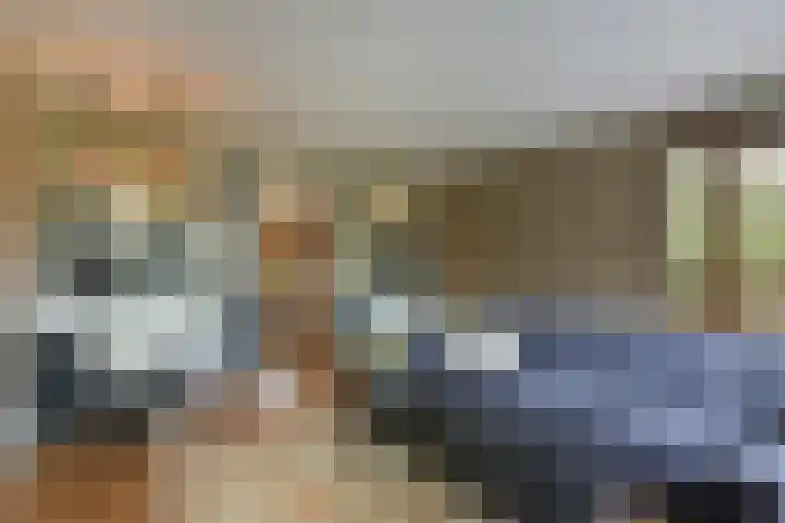 Inlaagdijk 3 Zwaag thumbnail 5
