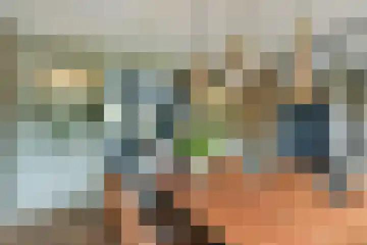 Inlaagdijk 3 Zwaag thumbnail 7