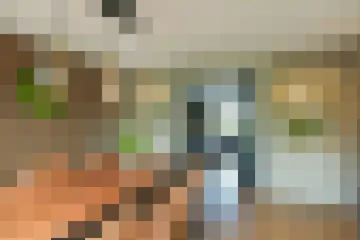 Inlaagdijk 3 Zwaag thumbnail 8