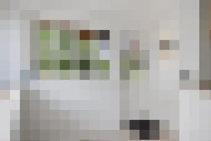 Inlaagdijk 57 Haarsteeg thumbnail 10