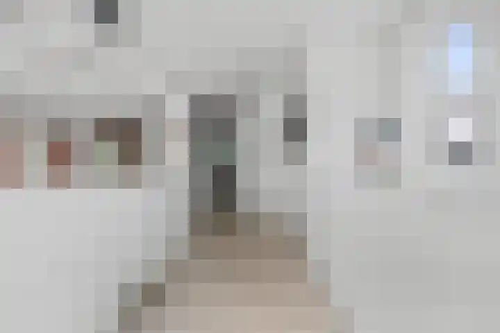 Inlaagdijk 57 Haarsteeg thumbnail 11