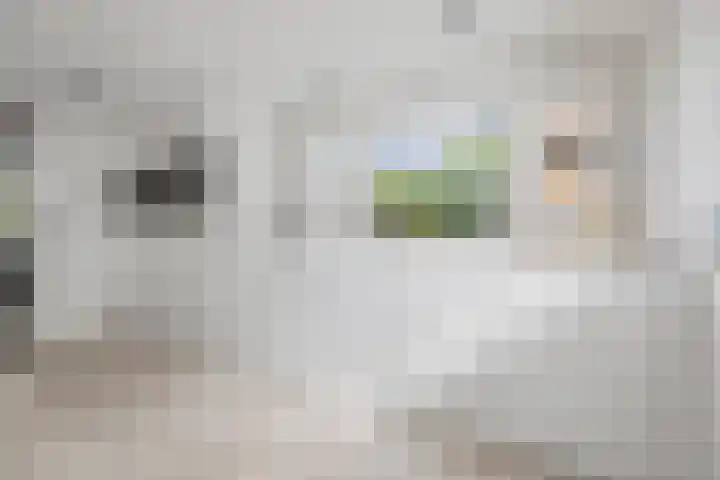 Inlaagdijk 57 Haarsteeg thumbnail 12