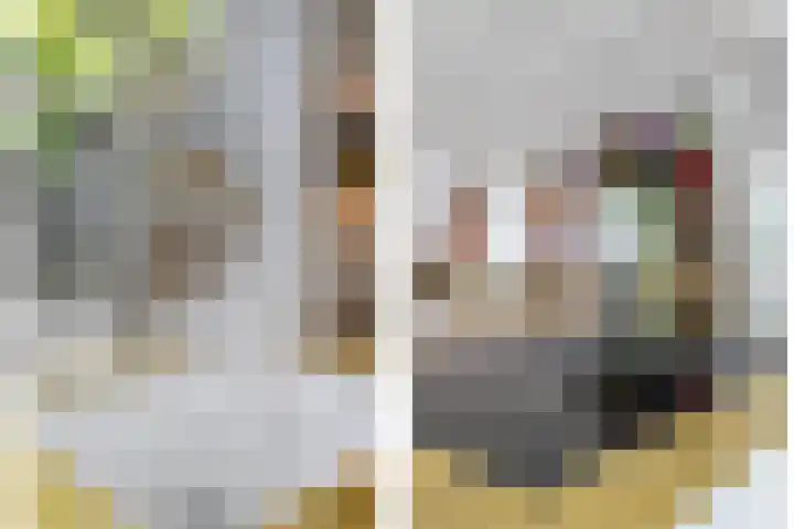 Inlaagdijk 57 Haarsteeg thumbnail 15
