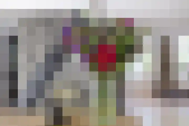 Inlaagdijk 57 Haarsteeg thumbnail 16