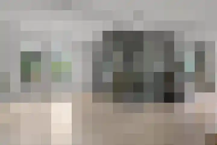 Inlaagdijk 57 Haarsteeg thumbnail 20