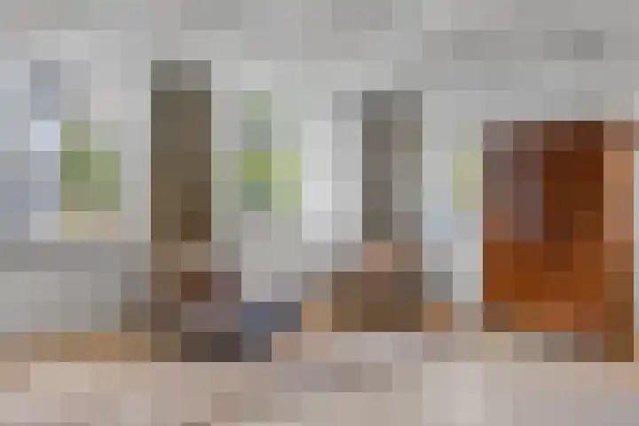 Inlaagdijk 57 Haarsteeg thumbnail 23