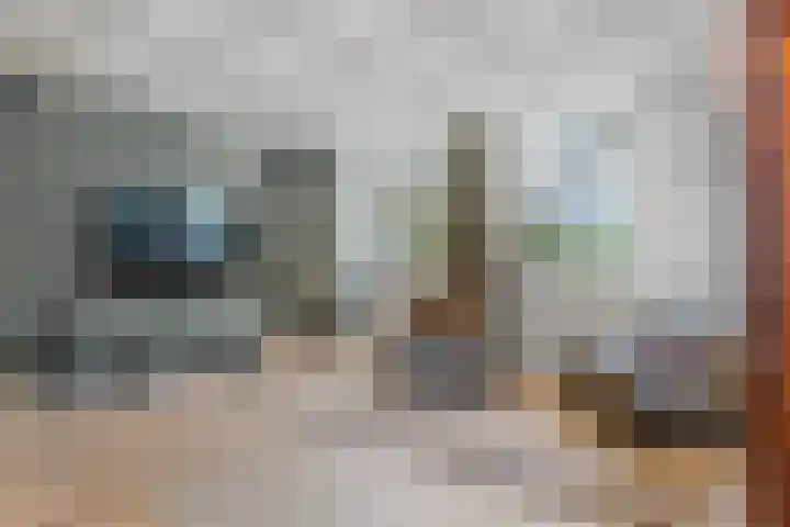Inlaagdijk 57 Haarsteeg thumbnail 24