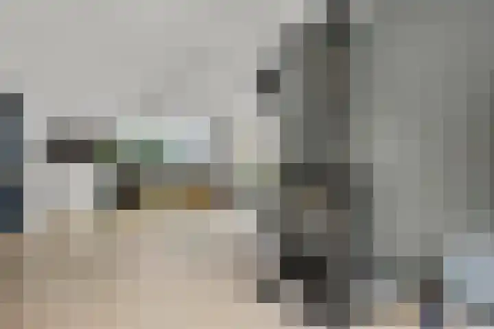 Inlaagdijk 57 Haarsteeg thumbnail 25