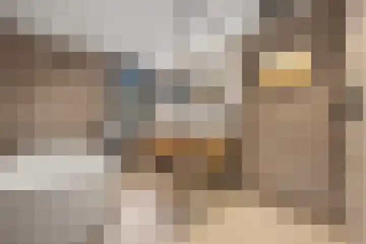 Inlaagdijk 57 Haarsteeg thumbnail 27