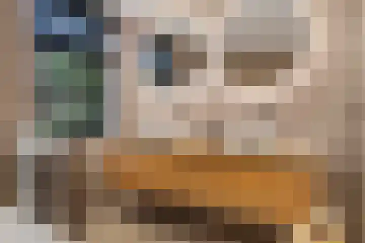 Inlaagdijk 57 Haarsteeg thumbnail 29