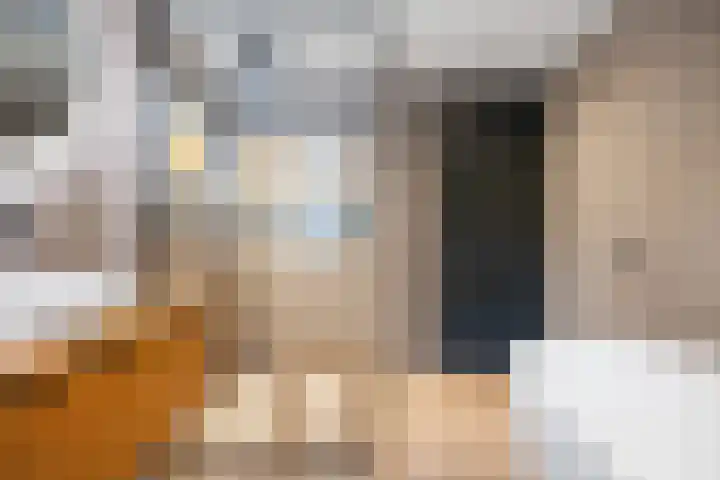Inlaagdijk 57 Haarsteeg thumbnail 30