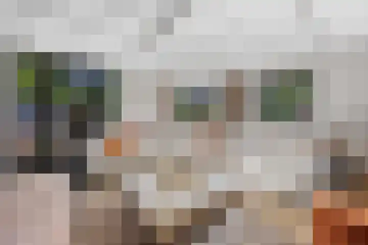 Inlaagdijk 57 Haarsteeg thumbnail 32