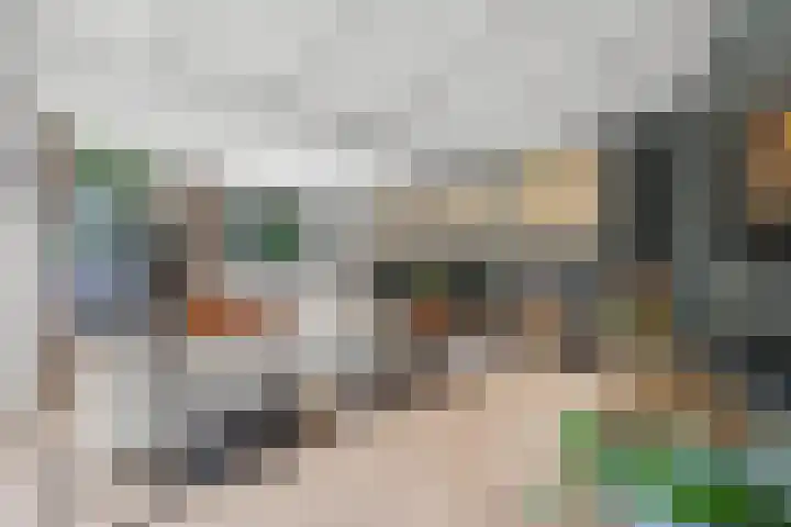 Inlaagdijk 57 Haarsteeg thumbnail 34